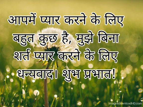 166+ Latest Good Morning Quotes in Hindi 2023 62