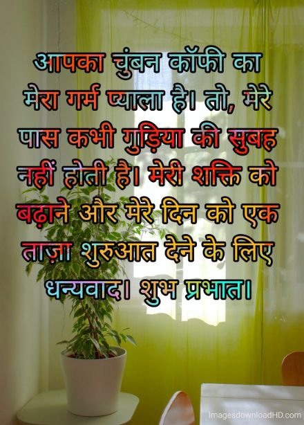 166+ Latest Good Morning Quotes in Hindi 2023 64