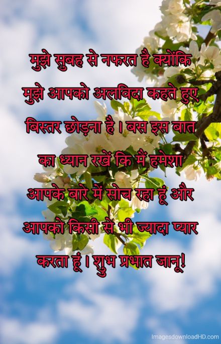 166+ Latest Good Morning Quotes in Hindi 2023 67