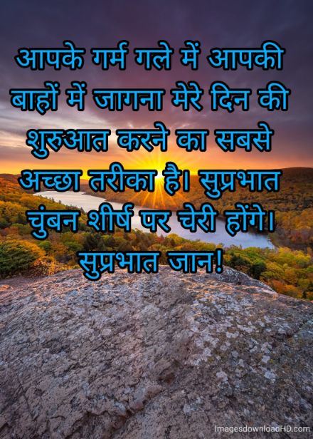 166+ Latest Good Morning Quotes in Hindi 2023 70