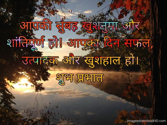 166+ Latest Good Morning Quotes in Hindi 2023 71