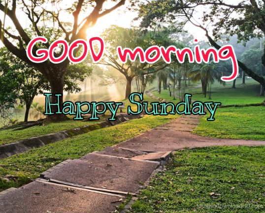 122+ Good Morning Sunday Images 2023 - New Collection 3