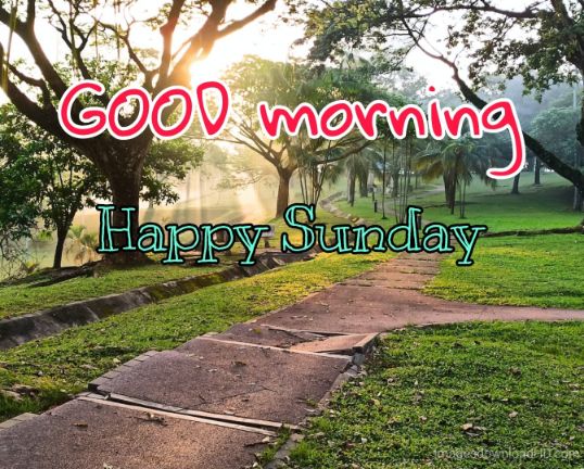 122+ Good Morning Sunday Images 2023 - New Collection 3 122+ Good Morning Sunday Images 2023 - New Collection 3