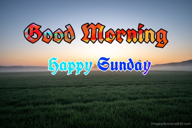 122+ Good Morning Sunday Images 2023 - New Collection 7