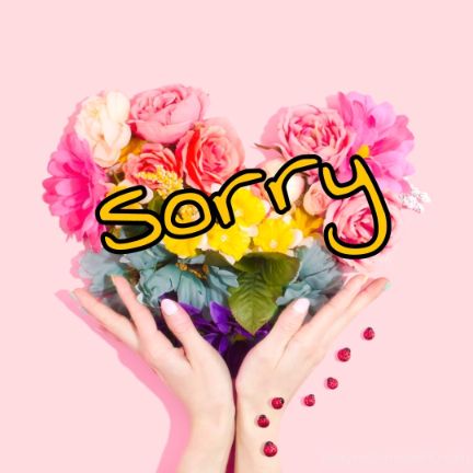 55+ Sorry Images Photos Pictures 2023 - Latest Collection 47 55+ Sorry Images Photos Pictures 2023 - Latest Collection 28