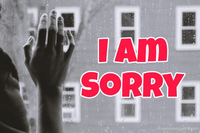 55+ Sorry Images Photos Pictures 2023 - Latest Collection 44 55+ Sorry Images Photos Pictures 2023 - Latest Collection 25