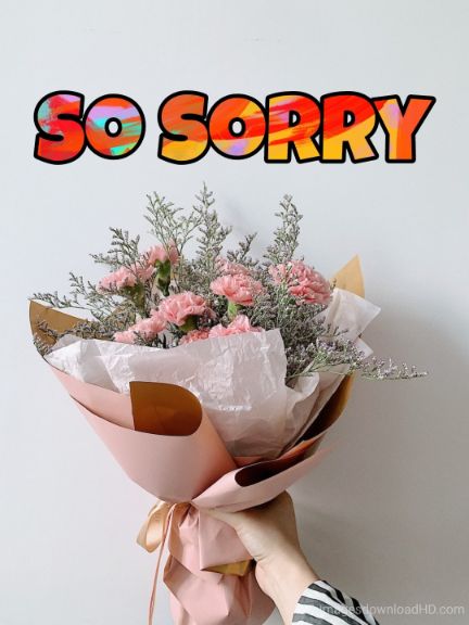 55+ Sorry Images Photos Pictures 2023 - Latest Collection 49 55+ Sorry Images Photos Pictures 2023 - Latest Collection 30