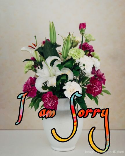 55+ Sorry Images Photos Pictures 2023 - Latest Collection 45 55+ Sorry Images Photos Pictures 2023 - Latest Collection 26