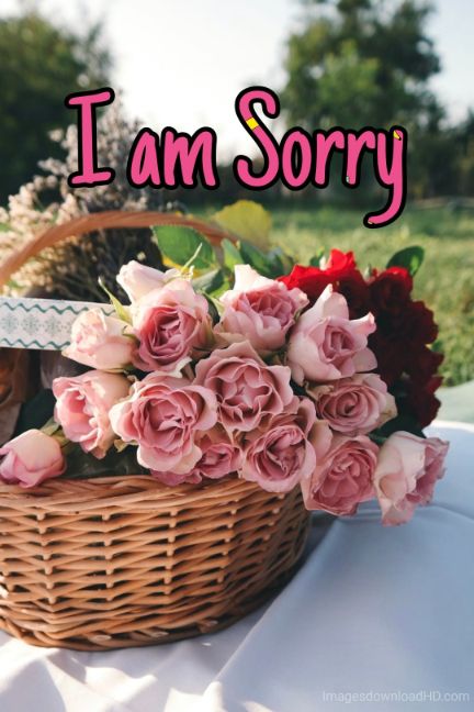 55+ Sorry Images Photos Pictures 2023 - Latest Collection 41 55+ Sorry Images Photos Pictures 2023 - Latest Collection 22