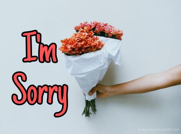 55+ Sorry Images Photos Pictures 2023 - Latest Collection 42 55+ Sorry Images Photos Pictures 2023 - Latest Collection 23