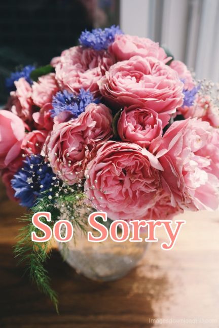 55+ Sorry Images Photos Pictures 2023 - Latest Collection 43 55+ Sorry Images Photos Pictures 2023 - Latest Collection 24