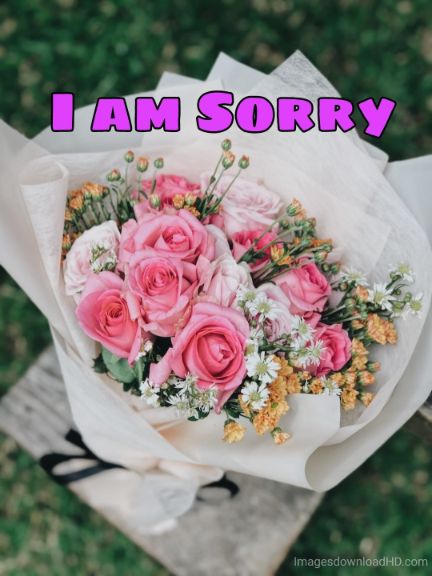 55+ Sorry Images Photos Pictures 2023 - Latest Collection 38 55+ Sorry Images Photos Pictures 2023 - Latest Collection 19