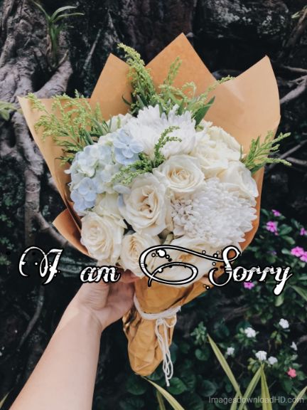55+ Sorry Images Photos Pictures 2023 - Latest Collection 39 55+ Sorry Images Photos Pictures 2023 - Latest Collection 20