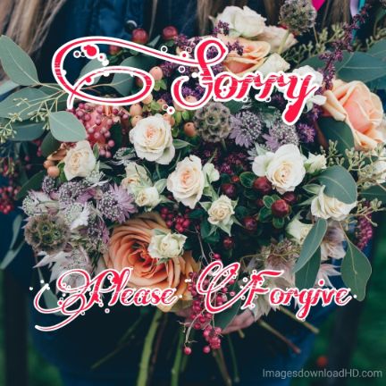55+ Sorry Images Photos Pictures 2023 - Latest Collection 40 55+ Sorry Images Photos Pictures 2023 - Latest Collection 21