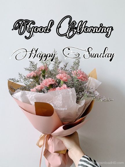 122+ Good Morning Sunday Images 2023 - New Collection 10