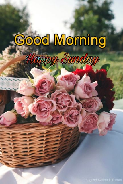 122+ Good Morning Sunday Images 2023 - New Collection 12
