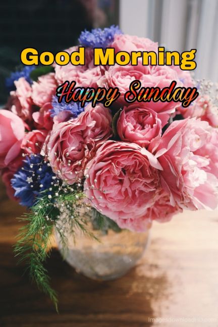 122+ Good Morning Sunday Images 2023 - New Collection 11