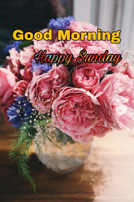 122+ Good Morning Sunday Images 2023 - New Collection 14 122+ Good Morning Sunday Images 2023 - New Collection 11