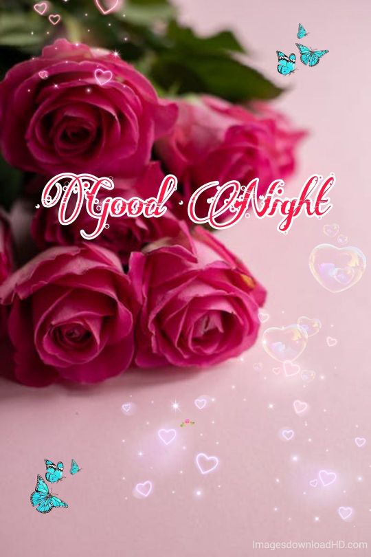109+ Good Night Flower Images Pictures Photos - New 2023 25 109+ Good Night Flower Images Pictures Photos - New 2023 14