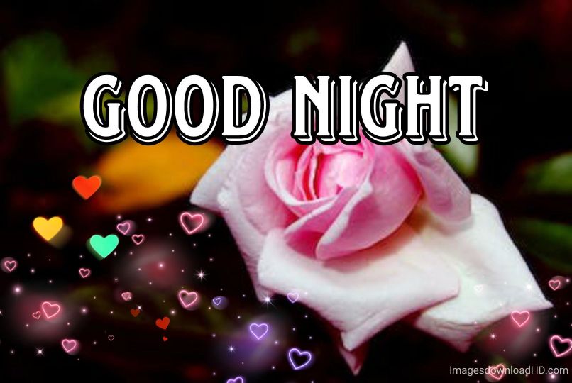 109+ Good Night Flower Images Pictures Photos - New 2023 24 109+ Good Night Flower Images Pictures Photos - New 2023 13