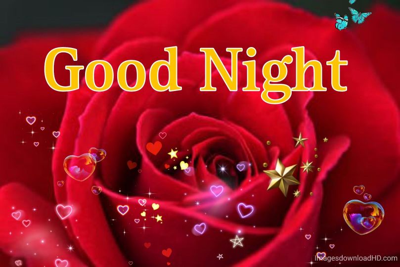 109+ Good Night Flower Images Pictures Photos - New 2023 29 109+ Good Night Flower Images Pictures Photos - New 2023 18
