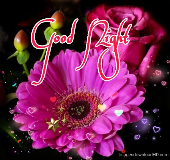 109+ Good Night Flower Images Pictures Photos - New 2023 16 109+ Good Night Flower Images Pictures Photos - New 2023 12