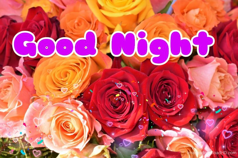 109+ Good Night Flower Images Pictures Photos - New 2023 1 109+ Good Night Flower Images Pictures Photos - New 2023 1