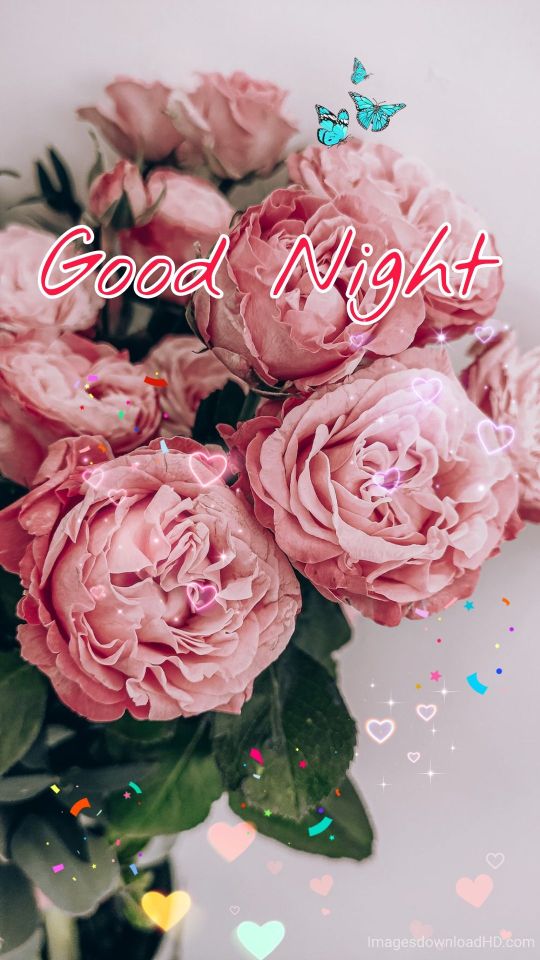 109+ Good Night Flower Images Pictures Photos - New 2023 10 109+ Good Night Flower Images Pictures Photos - New 2023 9