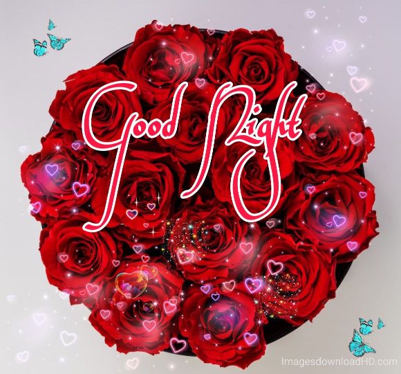 109+ Good Night Flower Images Pictures Photos - New 2023 31 109+ Good Night Flower Images Pictures Photos - New 2023 20