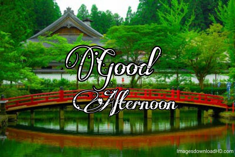 51+ Latest Good Afternoon Images 2023 35 51+ Latest Good Afternoon Images 2023 33