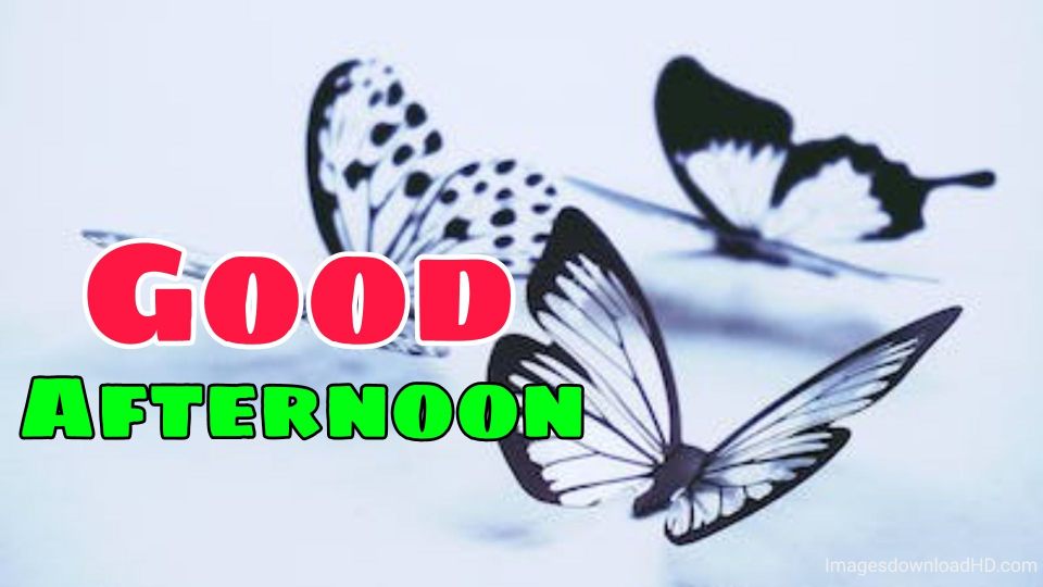 51+ Latest Good Afternoon Images 2023 2 51+ Latest Good Afternoon Images 2023 1