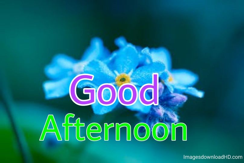 51+ Latest Good Afternoon Images 2023 7 51+ Latest Good Afternoon Images 2023 6