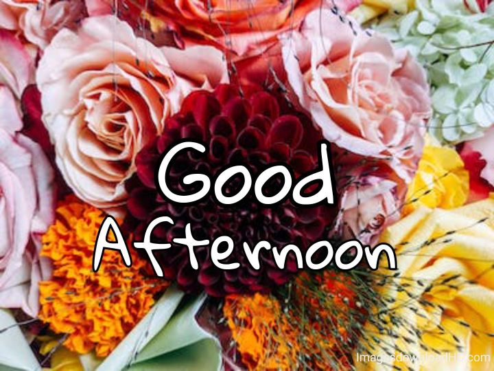 51+ Latest Good Afternoon Images 2023 9 51+ Latest Good Afternoon Images 2023 8