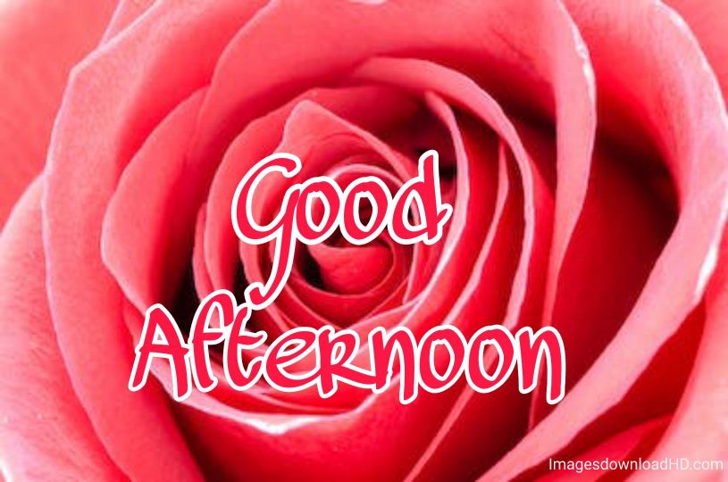 51+ Latest Good Afternoon Images 2023 13 51+ Latest Good Afternoon Images 2023 12