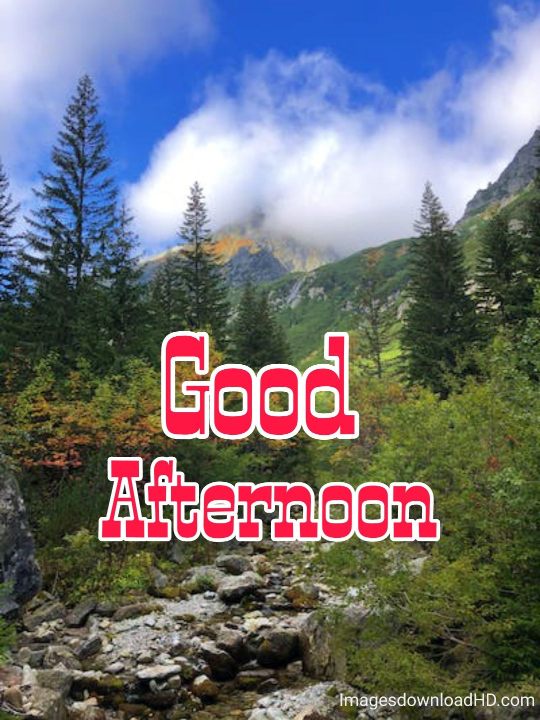 51+ Latest Good Afternoon Images 2023 19 51+ Latest Good Afternoon Images 2023 18