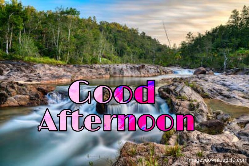 51+ Latest Good Afternoon Images 2023 17 51+ Latest Good Afternoon Images 2023 16