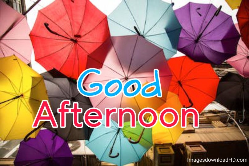 51+ Latest Good Afternoon Images 2023 24 51+ Latest Good Afternoon Images 2023 22