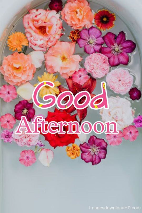 51+ Latest Good Afternoon Images 2023 23 51+ Latest Good Afternoon Images 2023 21