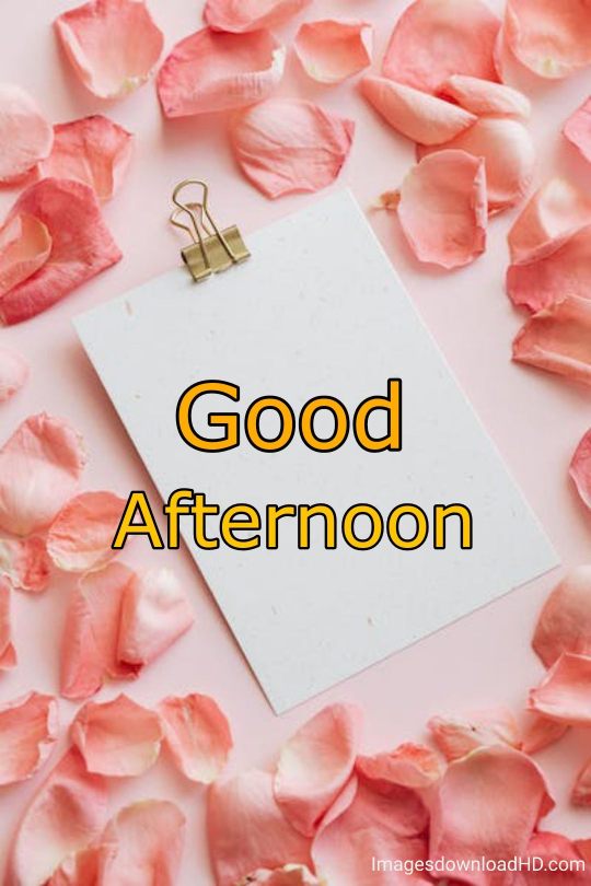 51+ Latest Good Afternoon Images 2023 30 51+ Latest Good Afternoon Images 2023 28