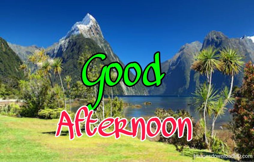 51+ Latest Good Afternoon Images 2023 32 51+ Latest Good Afternoon Images 2023 30