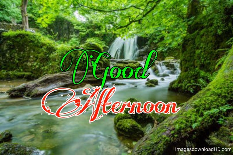 51+ Latest Good Afternoon Images 2023 33 51+ Latest Good Afternoon Images 2023 31