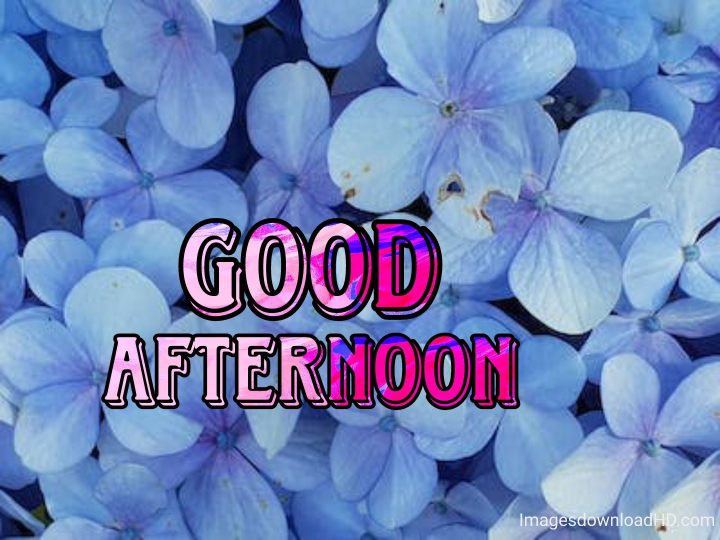 51+ Latest Good Afternoon Images 2023 34 51+ Latest Good Afternoon Images 2023 32