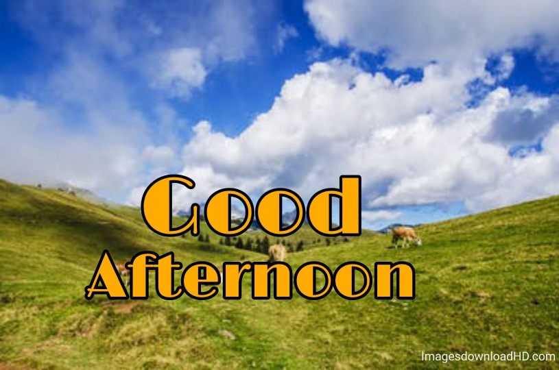 51+ Latest Good Afternoon Images 2023 40 51+ Latest Good Afternoon Images 2023 38
