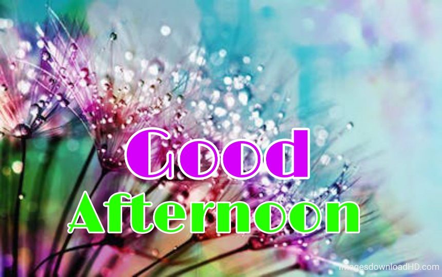 51+ Latest Good Afternoon Images 2023 39 51+ Latest Good Afternoon Images 2023 37