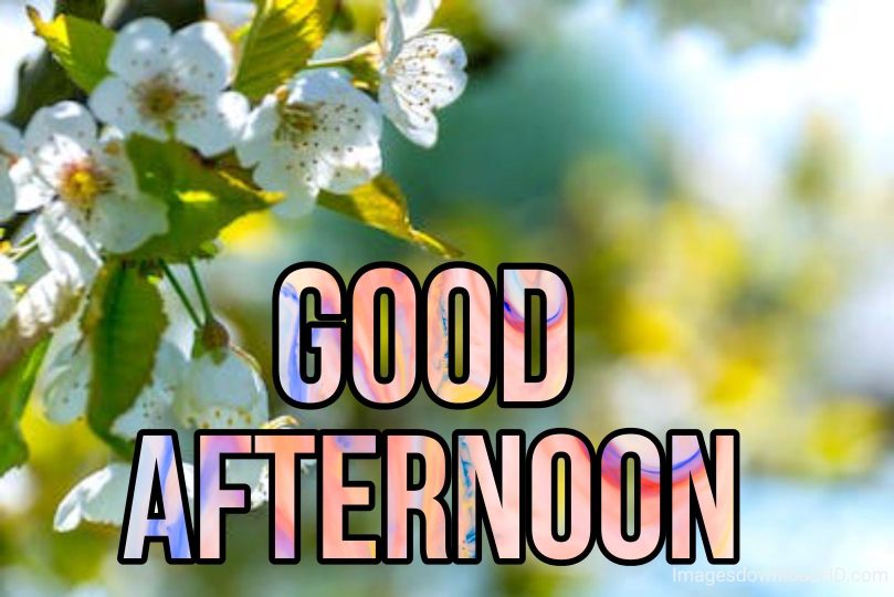 51+ Latest Good Afternoon Images 2023 38 51+ Latest Good Afternoon Images 2023 36