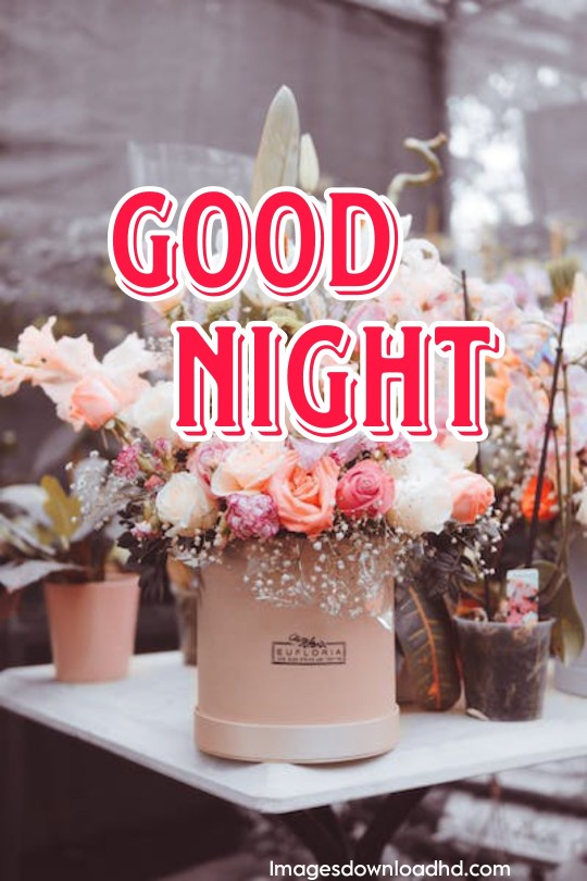 220+ Romantic Good Night Images 2023 29 220+ Romantic Good Night Images 2023 29