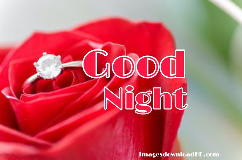 220+ Romantic Good Night Images 2023 41 220+ Romantic Good Night Images 2023 41