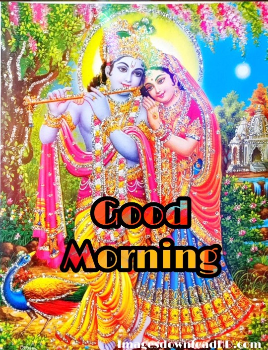 133+ Good Morning Radha Krishna Images 2023 2