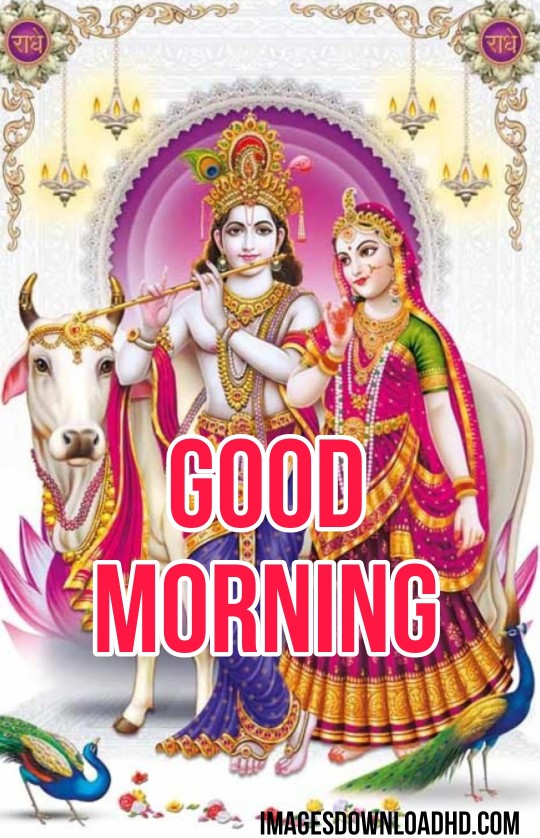 133+ Good Morning Radha Krishna Images 2023 3