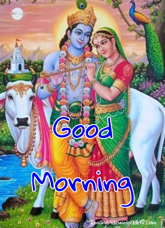 133+ Good Morning Radha Krishna Images 2023 4